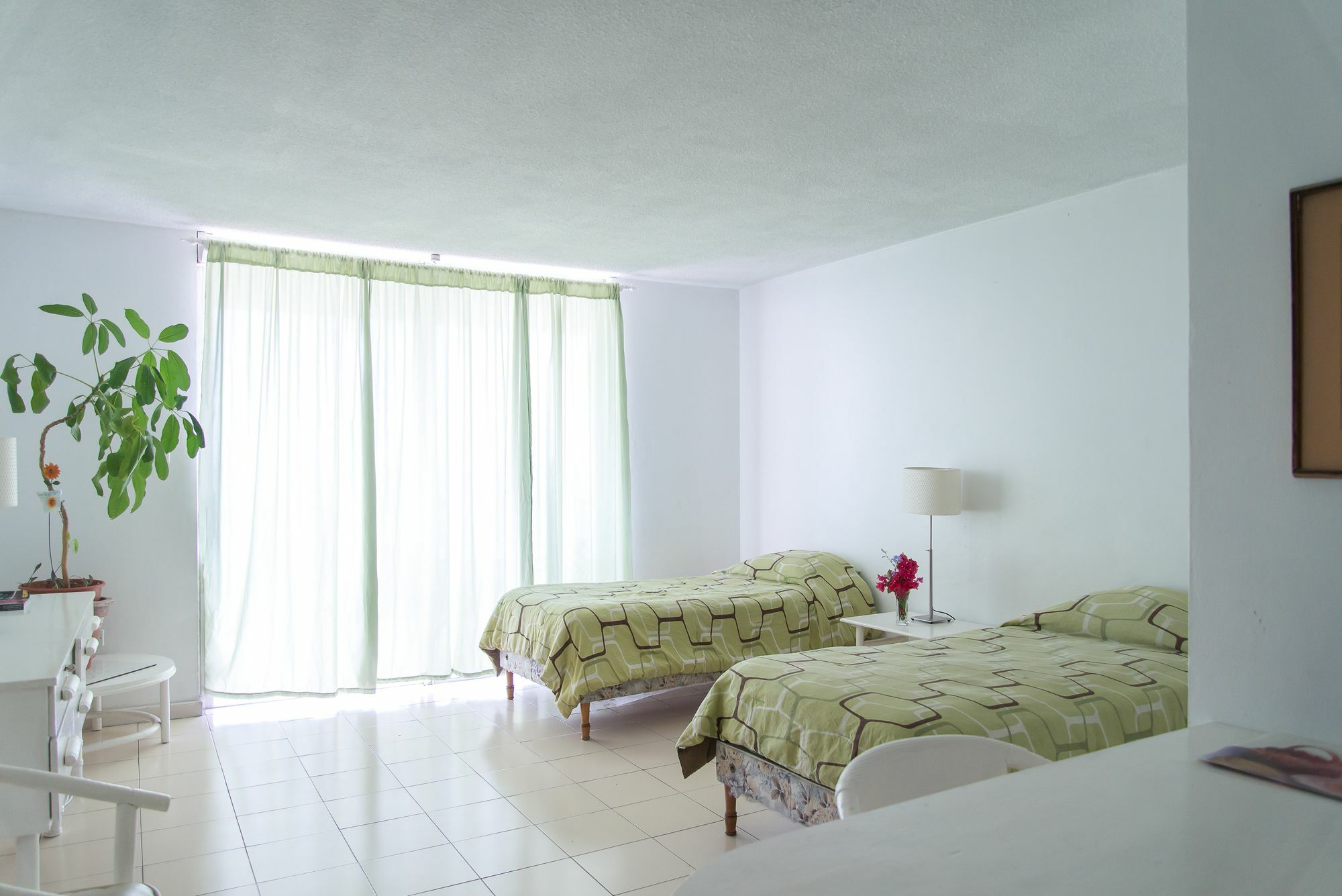 Montego Bay Club Apartments Buitenkant foto